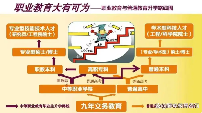 医学赛道“破壁者”：1+3对口升学如何改写底层逆袭剧本？(图1)