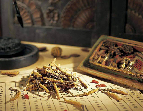 甘肃中药专业学校